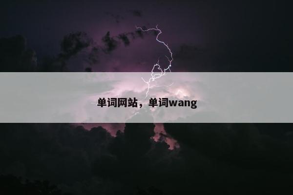 单词网站，单词wang