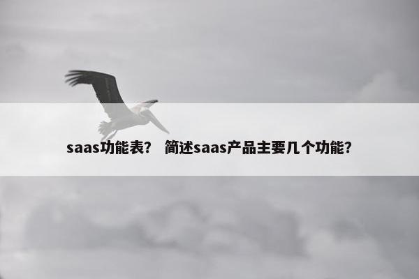 saas功能表？ 简述saas产品主要几个功能？