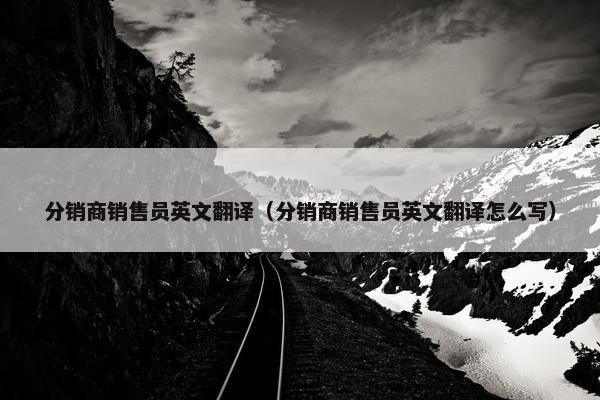 分销商销售员英文翻译（分销商销售员英文翻译怎么写）