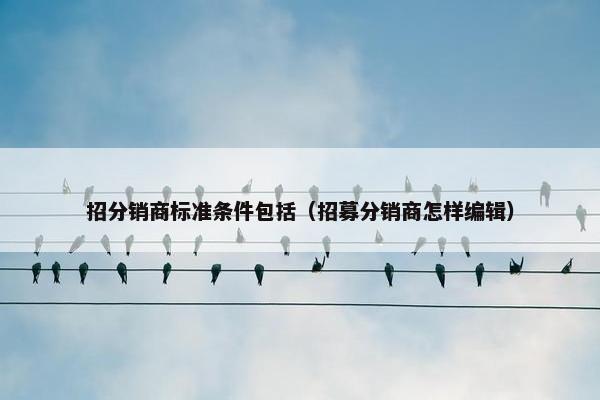 招分销商标准条件包括（招募分销商怎样编辑）