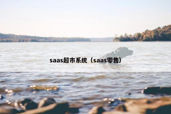 saas超市系统（saas零售）