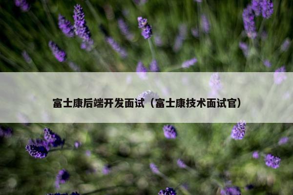 富士康后端开发面试（富士康技术面试官）
