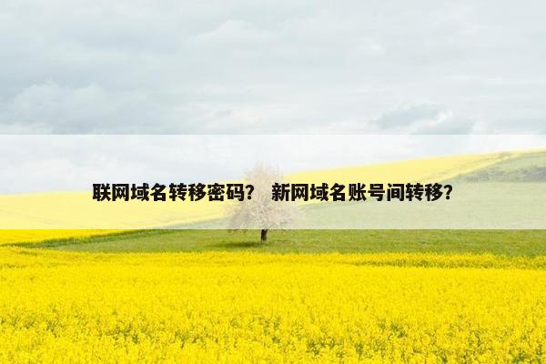 联网域名转移密码？ 新网域名账号间转移？