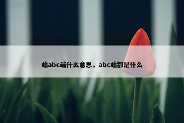 站abc端什么意思，abc站都是什么