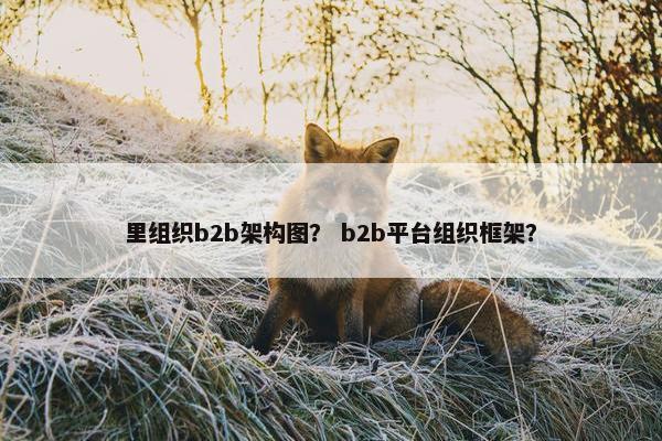里组织b2b架构图？ b2b平台组织框架？