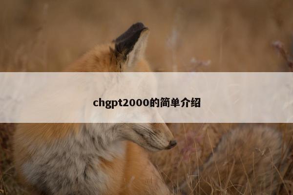 chgpt2000的简单介绍