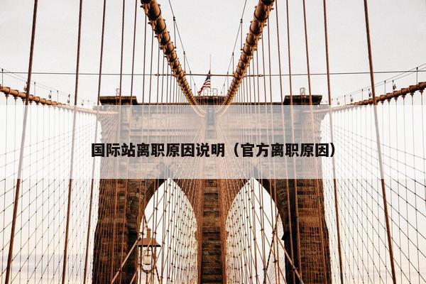 国际站离职原因说明（官方离职原因）