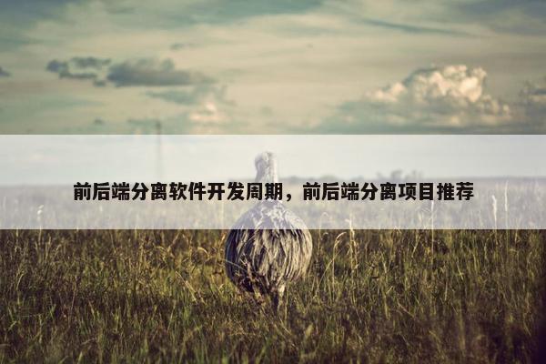 前后端分离软件开发周期，前后端分离项目推荐