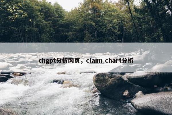 chgpt分析网页，claim chart分析