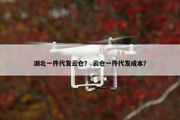 湖北一件代发云仓？ 云仓一件代发成本？