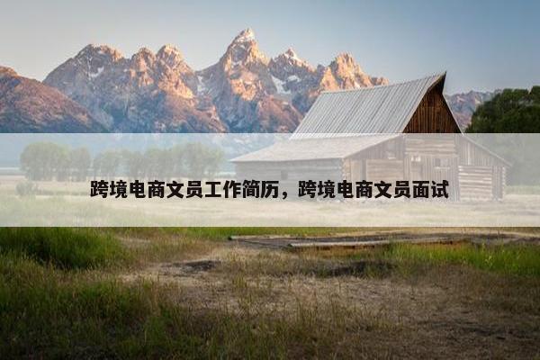 跨境电商文员工作简历，跨境电商文员面试