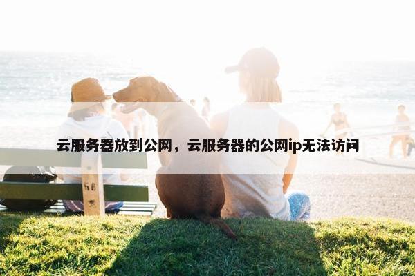 云服务器放到公网，云服务器的公网ip无法访问