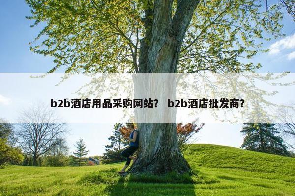 b2b酒店用品采购网站？ b2b酒店批发商？