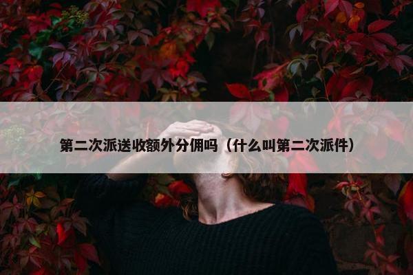 第二次派送收额外分佣吗（什么叫第二次派件）