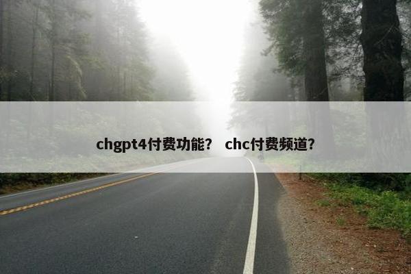 chgpt4付费功能？ chc付费频道？