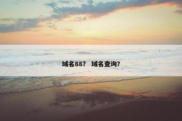 域名88？ 域名查询？