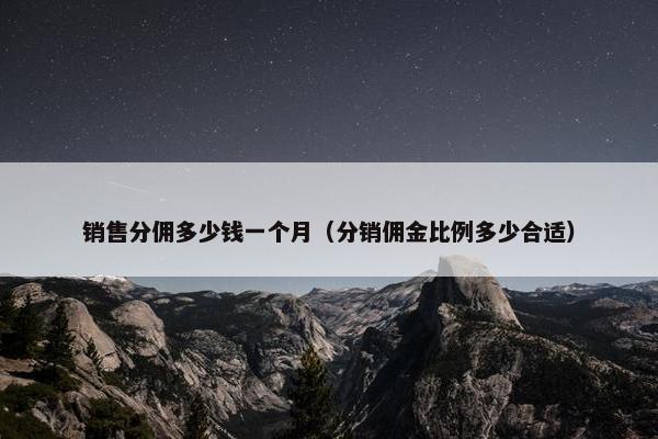 销售分佣多少钱一个月（分销佣金比例多少合适）