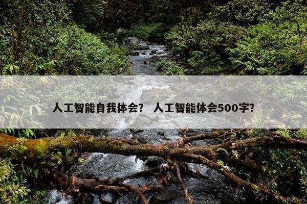 人工智能自我体会？ 人工智能体会500字？