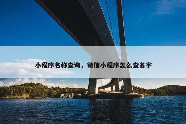 小程序名称查询，微信小程序怎么查名字