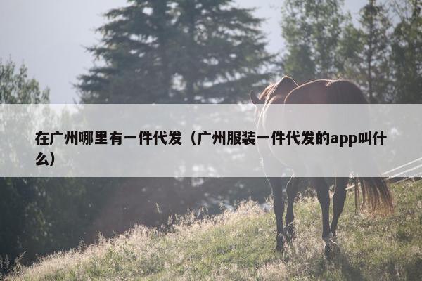 在广州哪里有一件代发（广州服装一件代发的app叫什么）
