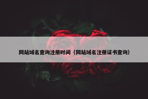 网站域名查询注册时间（网站域名注册证书查询）