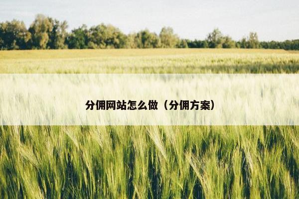 分佣网站怎么做（分佣方案）