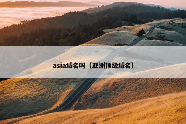asia域名吗（亚洲顶级域名）