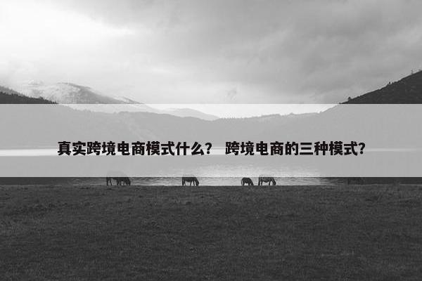 真实跨境电商模式什么？ 跨境电商的三种模式？