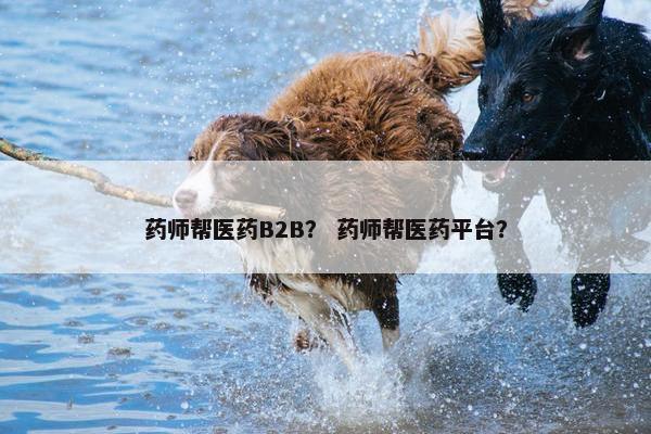 药师帮医药B2B？ 药师帮医药平台？