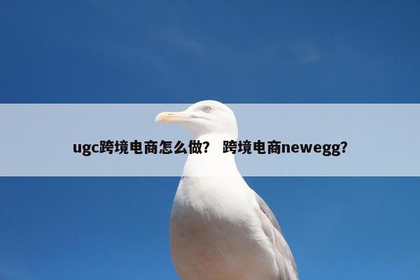 ugc跨境电商怎么做？ 跨境电商newegg？