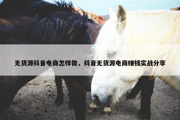 无货源抖音电商怎样做，抖音无货源电商赚钱实战分享