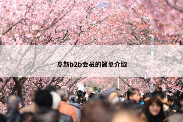 阜新b2b会员的简单介绍
