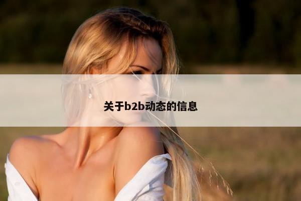 关于b2b动态的信息