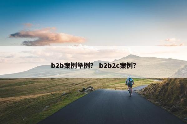 b2b案例举例? b2b2c案例? b2b案例举例? b2b2c案例?
